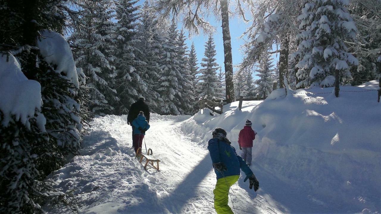 Ferienwohnung Dolomitenpanorama Oberlienz Exterior foto